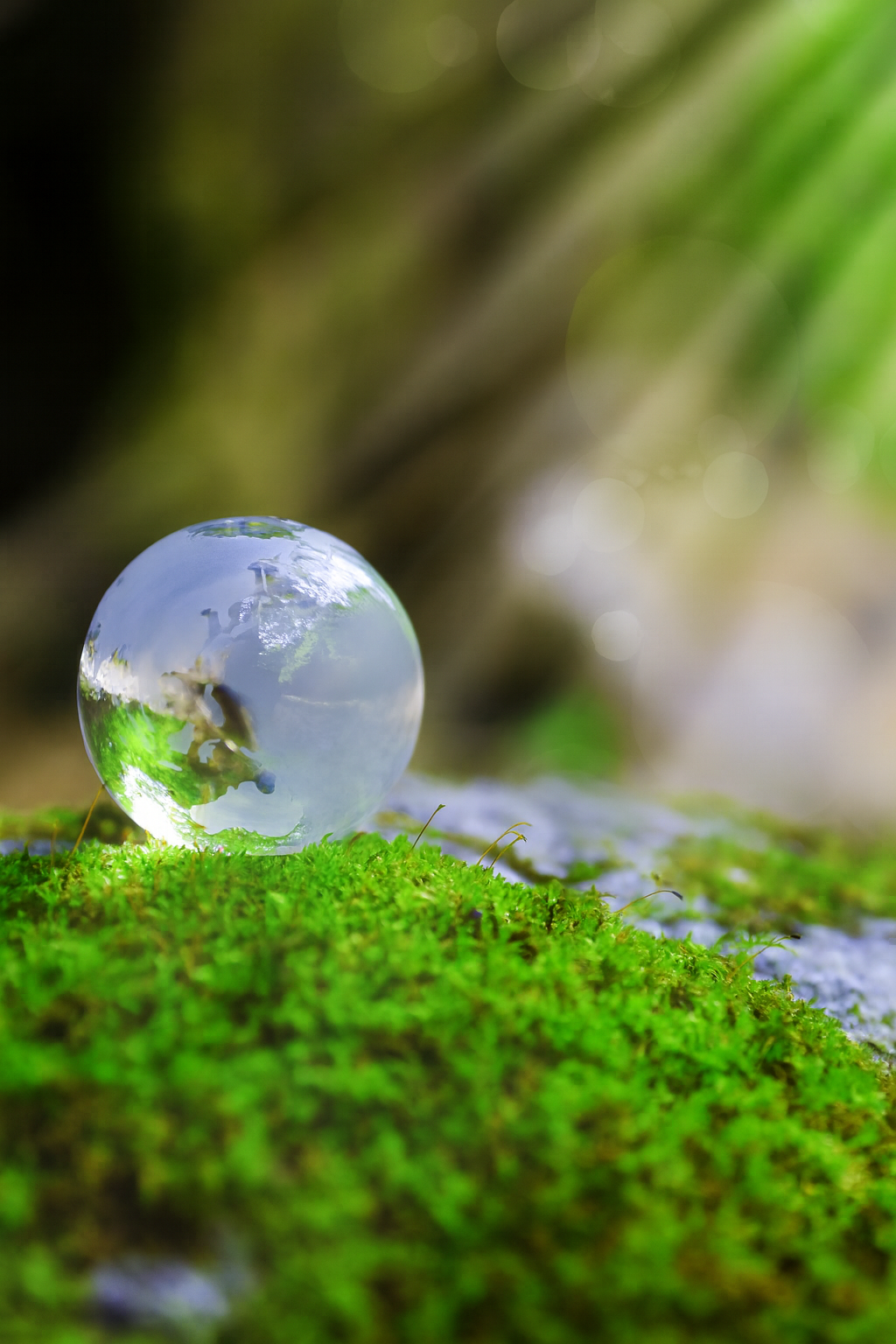 持続可能な地球環境への貢献