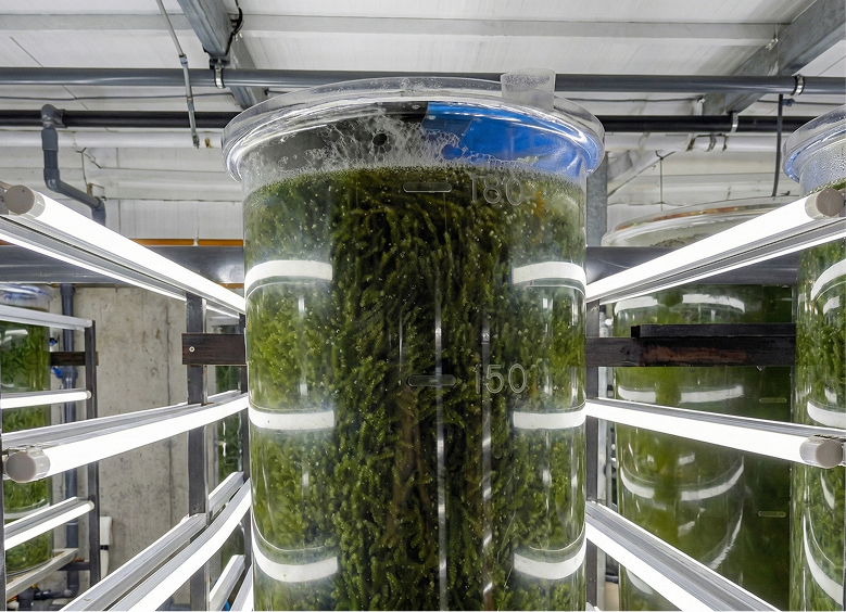 シリンダー30本