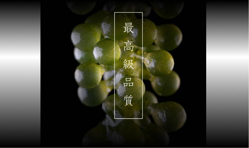 スマート陸上養殖