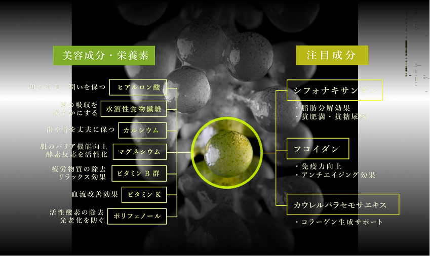 注目される栄養成分