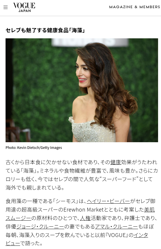 VOGUE記事のイメージ