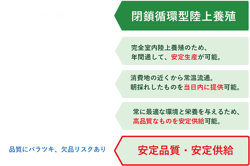 なぜ、これまで海ぶどうが浸透しなかったのか？